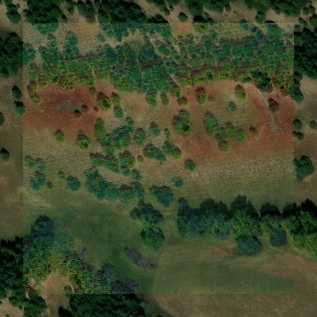 This image shows a LiDAR point cloud in Garfield County created using GIS data in Equator.