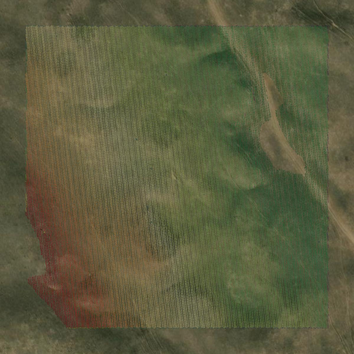 This image shows a LiDAR point cloud in Grant County created using GIS data in Equator.