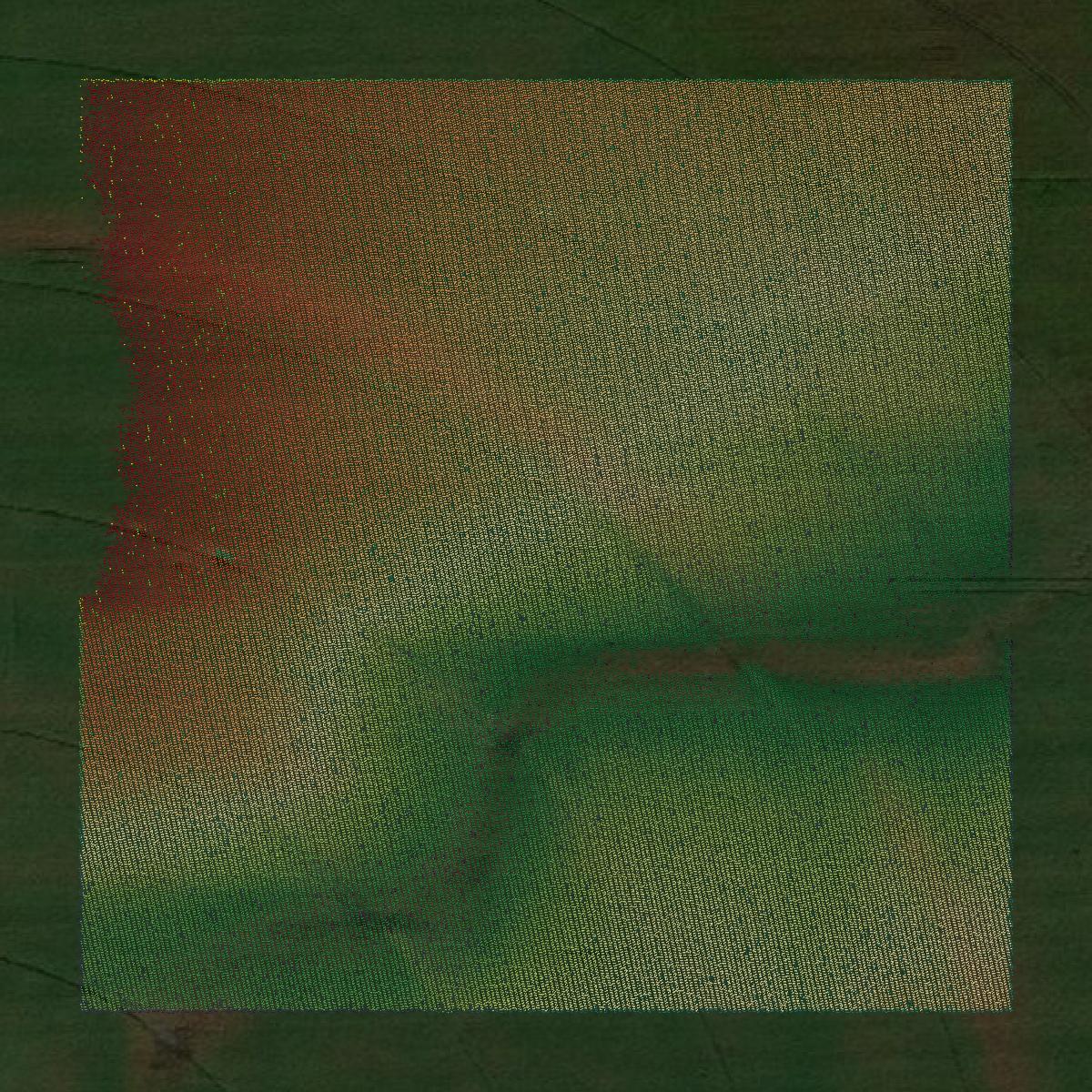 This image shows a LiDAR point cloud in Hall County created using GIS data in Equator.