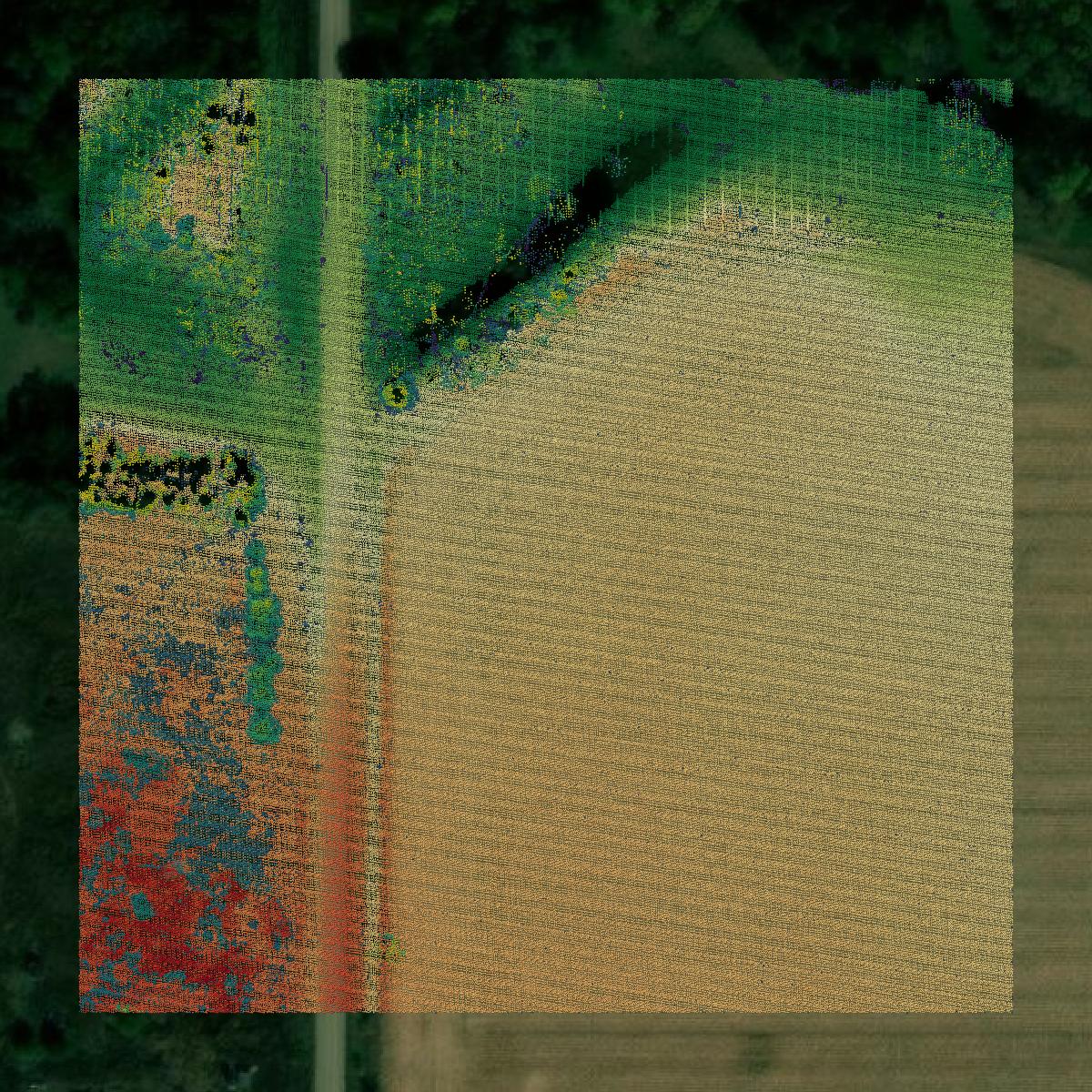 This image shows a LiDAR point cloud in Hamilton County created using GIS data in Equator.