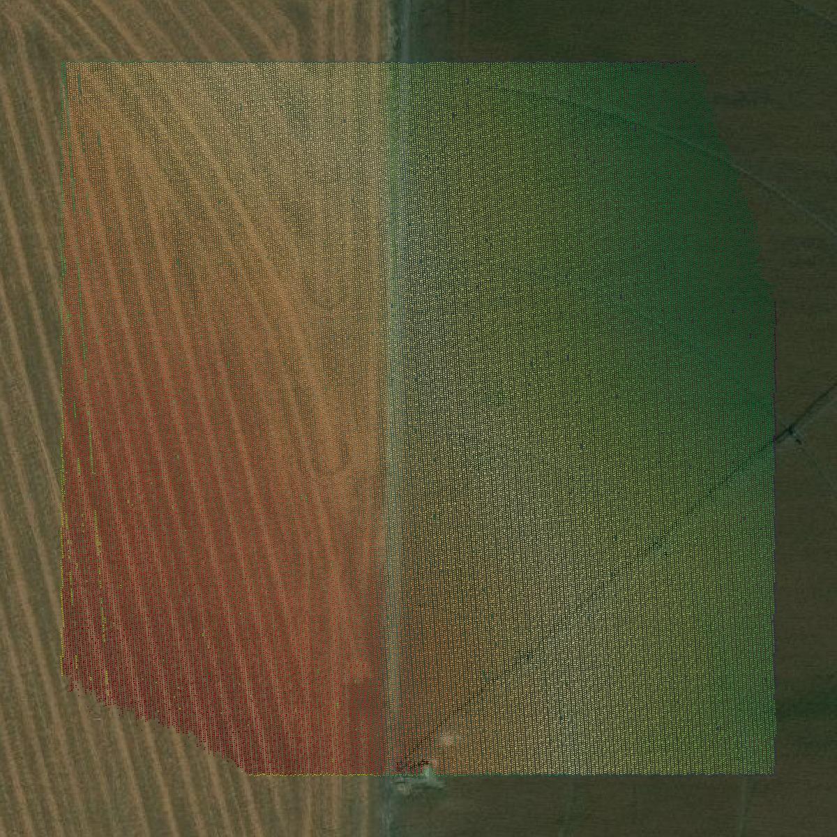 This image shows a LiDAR point cloud in Harlan County created using GIS data in Equator.