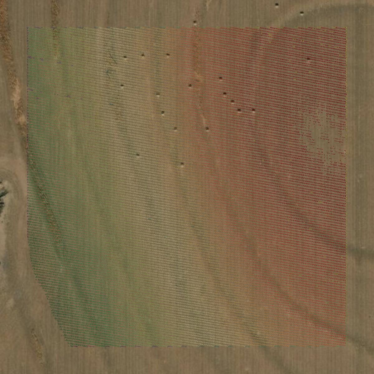 This image shows a LiDAR point cloud in Hayes County created using GIS data in Equator.