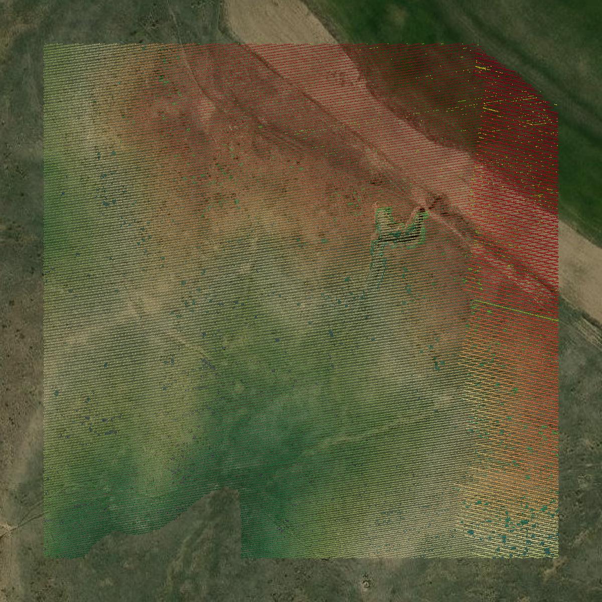 This image shows a LiDAR point cloud in Hayes County created using GIS data in Equator.