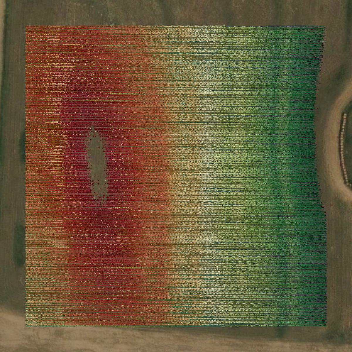 This image shows a LiDAR point cloud in Hitchcock County created using GIS data in Equator.