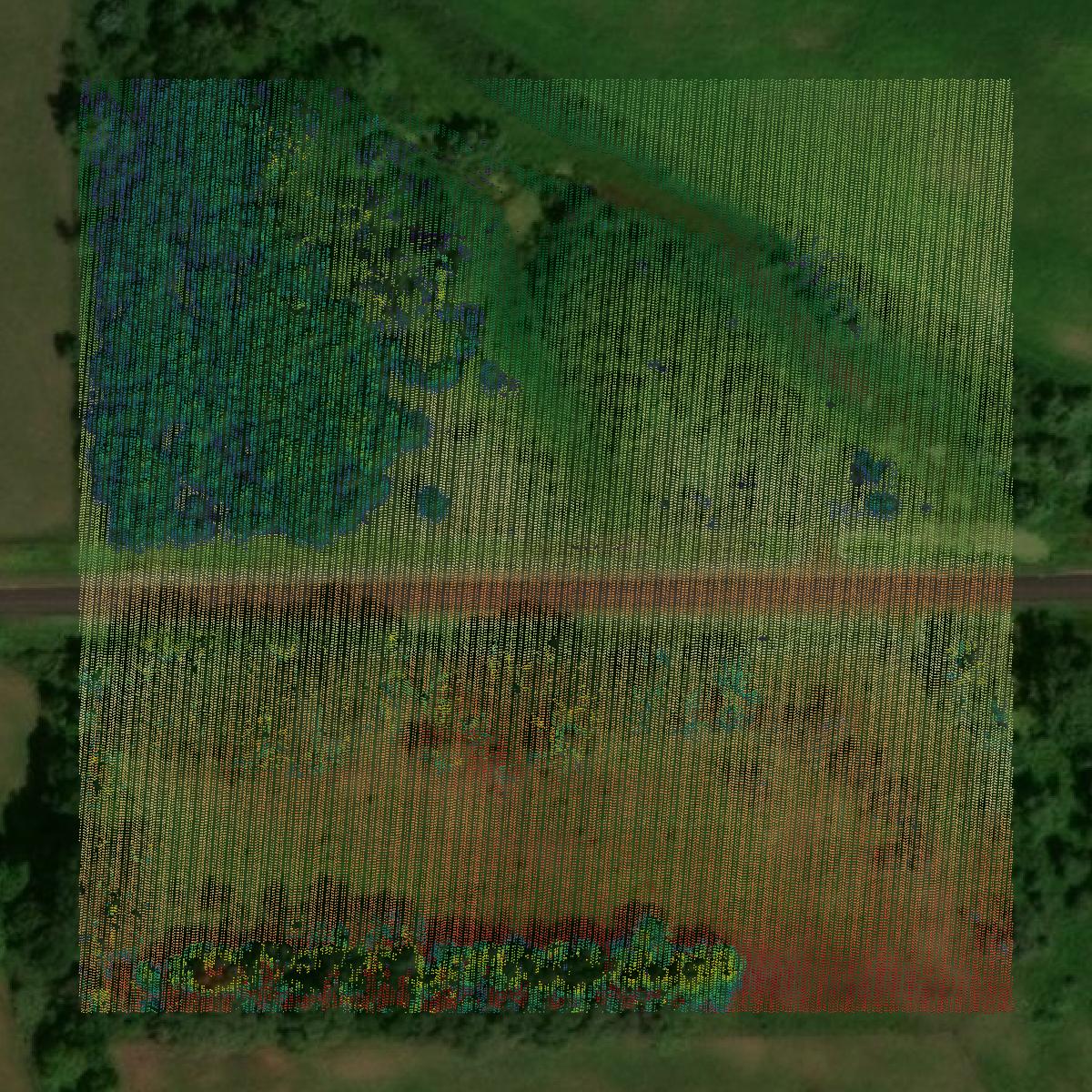This image shows a LiDAR point cloud in Holt County created using GIS data in Equator.
