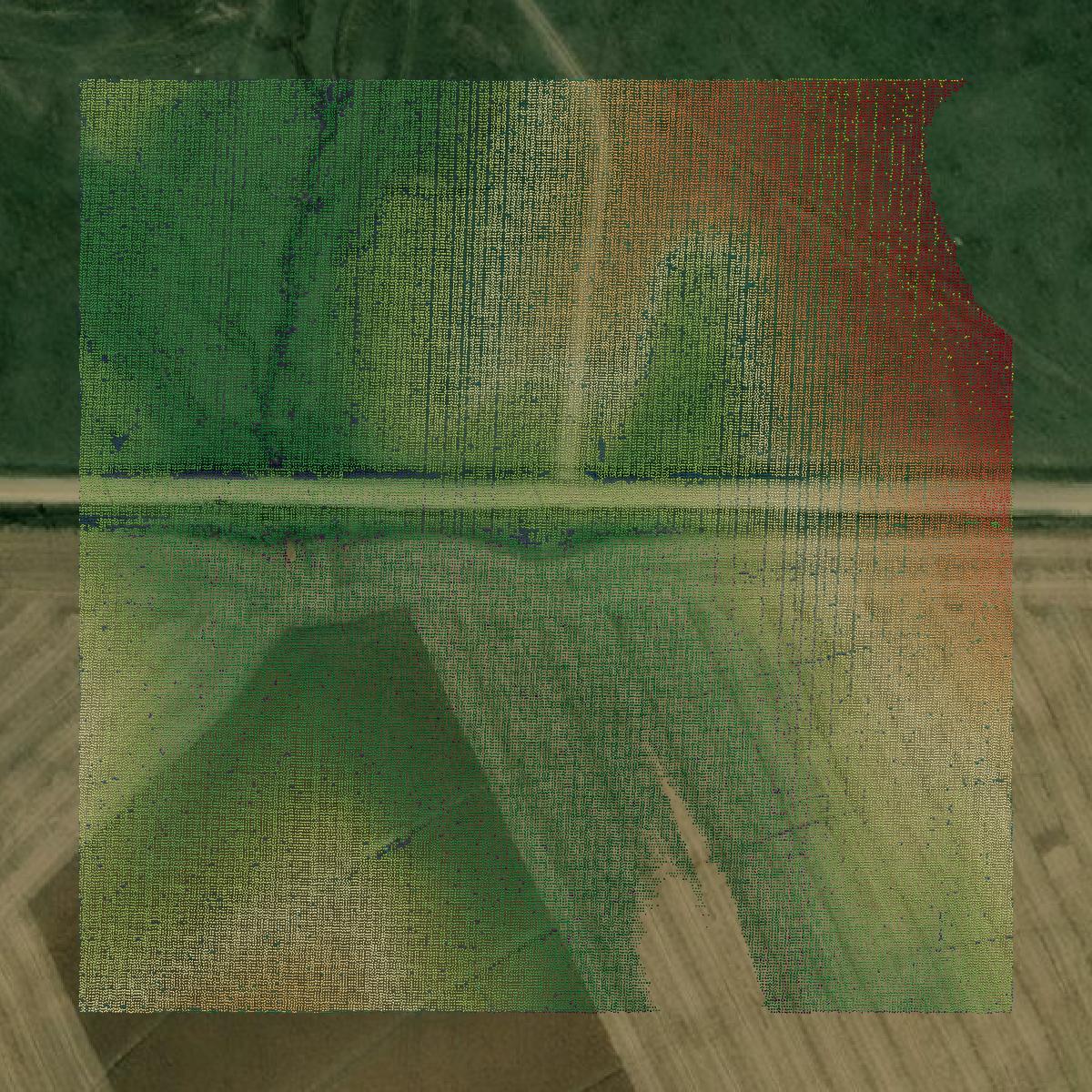 This image shows a LiDAR point cloud in Howard County created using GIS data in Equator.