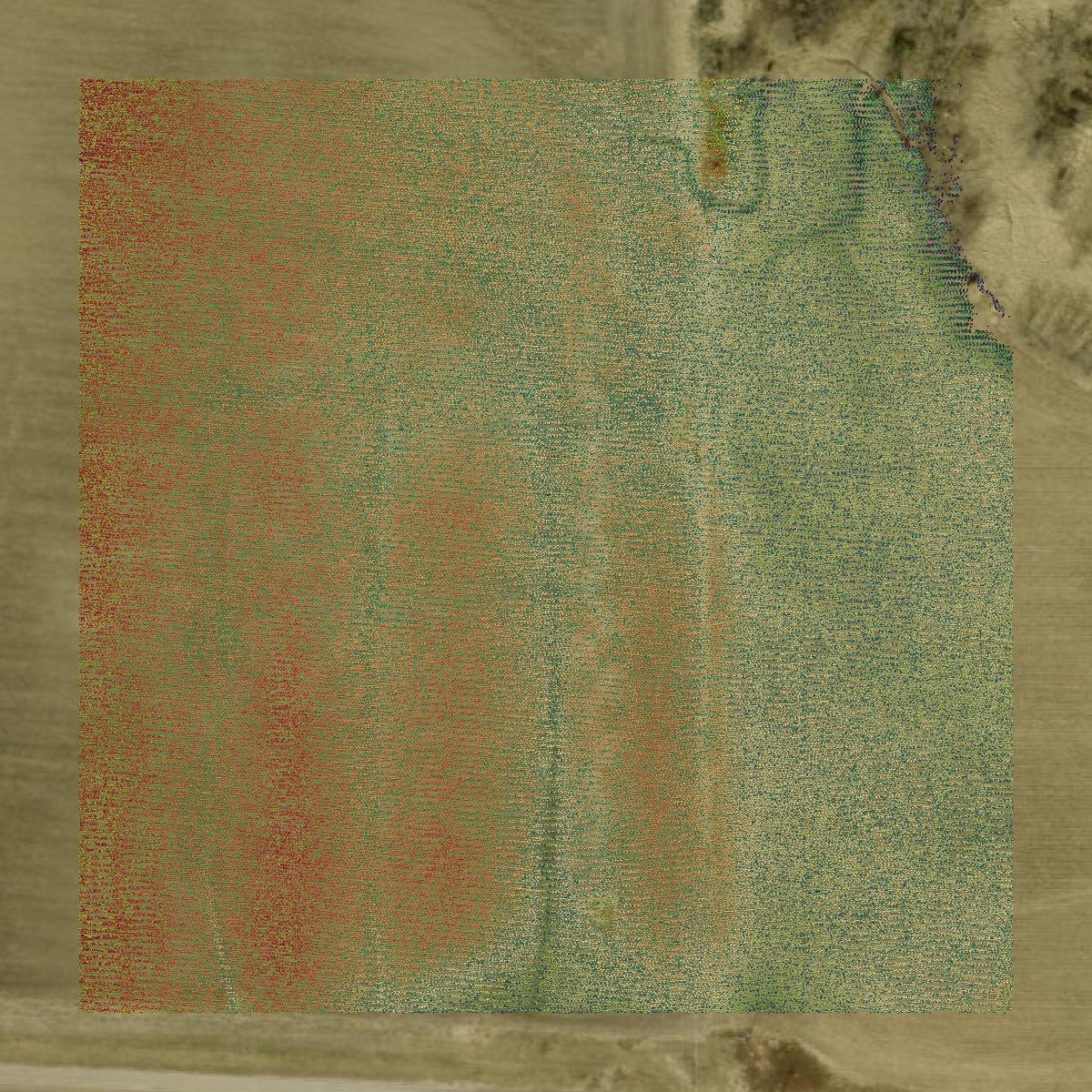 This image shows a LiDAR point cloud in Lancaster County created using GIS data in Equator.