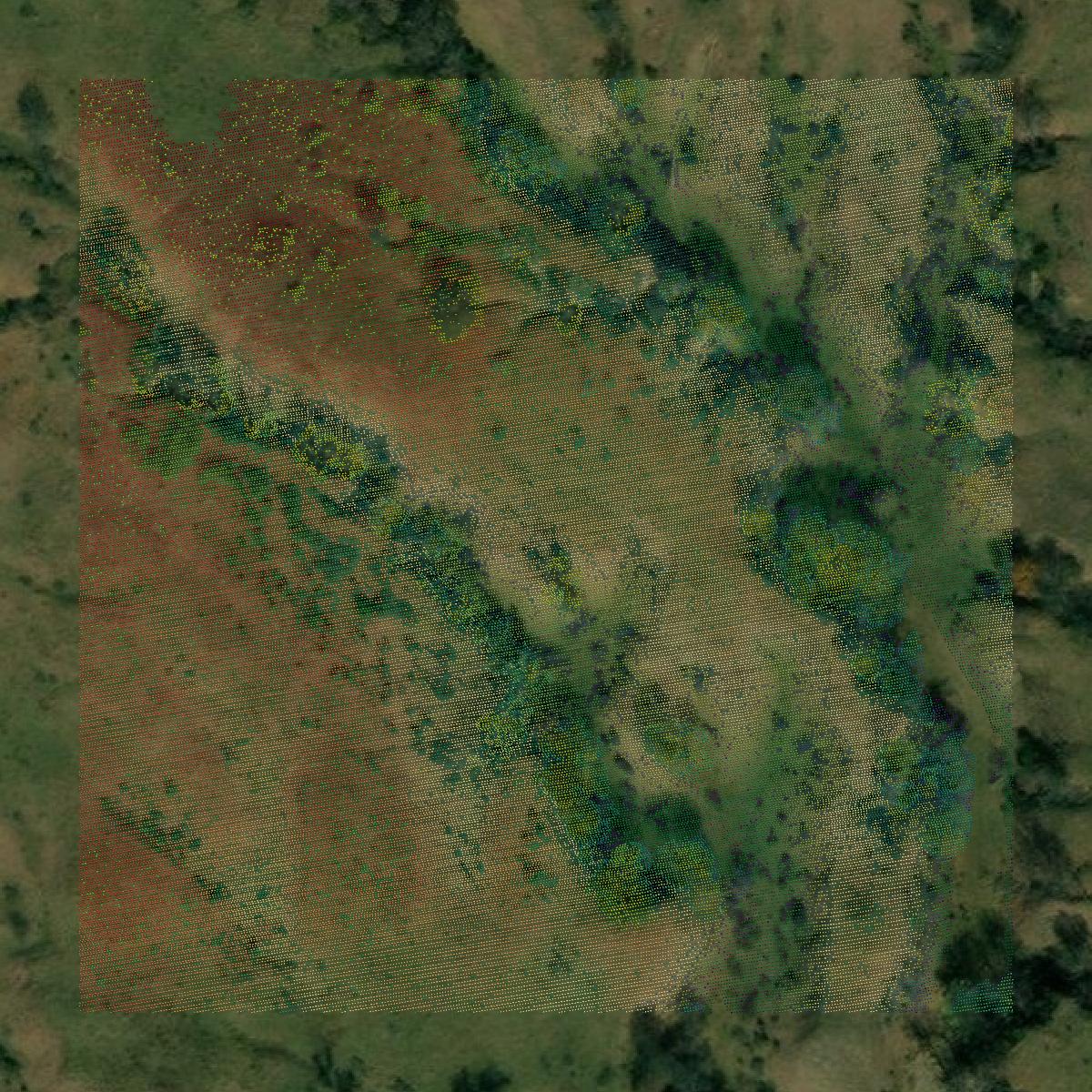 This image shows a LiDAR point cloud in Loup County created using GIS data in Equator.