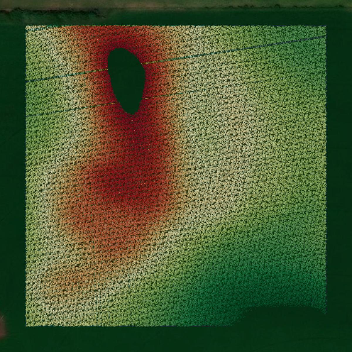 This image shows a LiDAR point cloud in Merrick County created using GIS data in Equator.