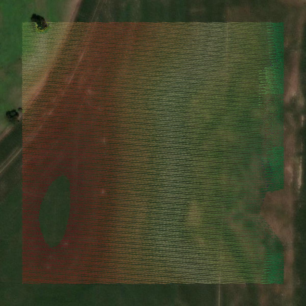 This image shows a LiDAR point cloud in Nance County created using GIS data in Equator.