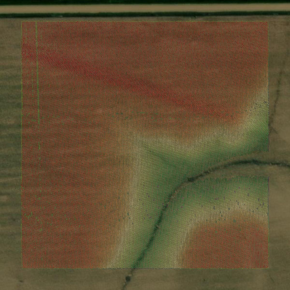 This image shows a LiDAR point cloud in Nuckolls County created using GIS data in Equator.