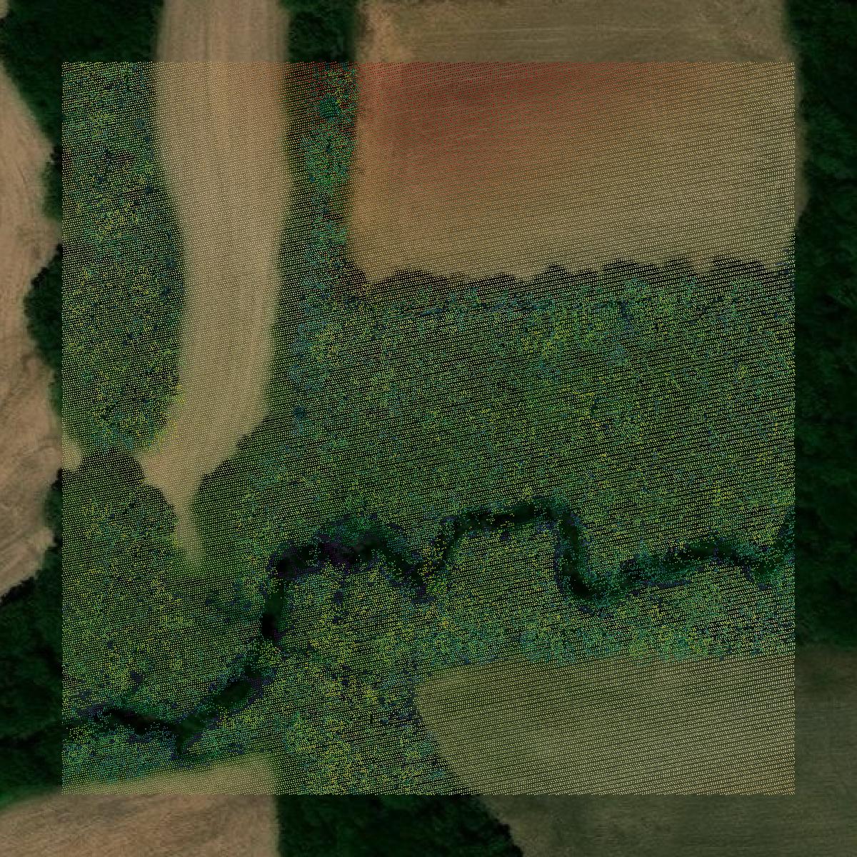 This image shows a LiDAR point cloud in Pawnee County created using GIS data in Equator.
