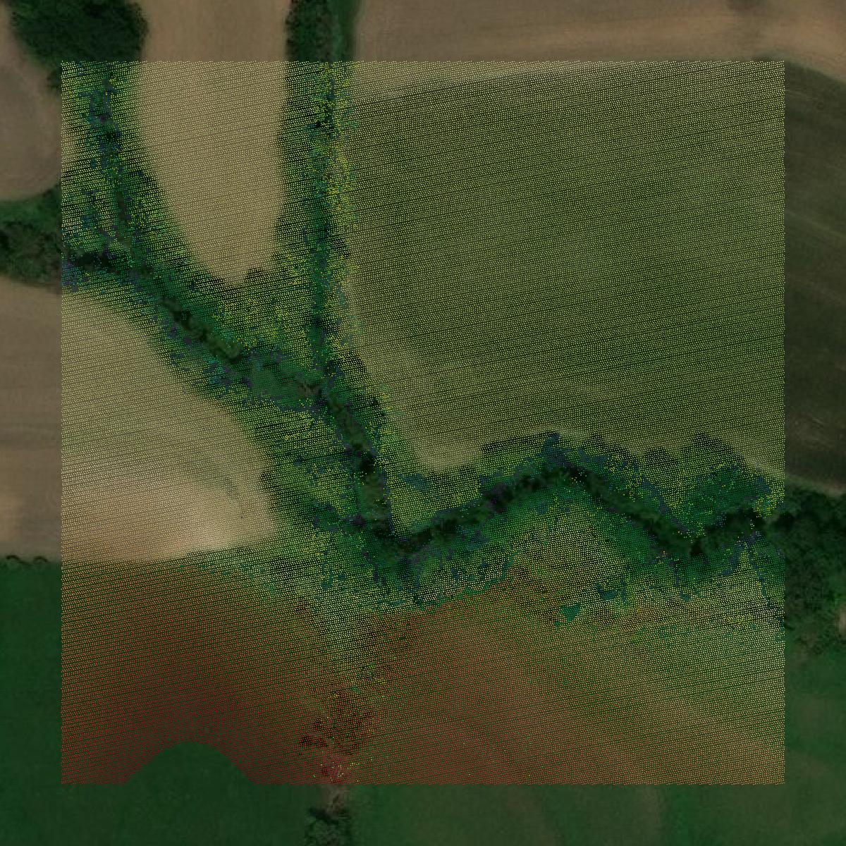 This image shows a LiDAR point cloud in Pawnee County created using GIS data in Equator.