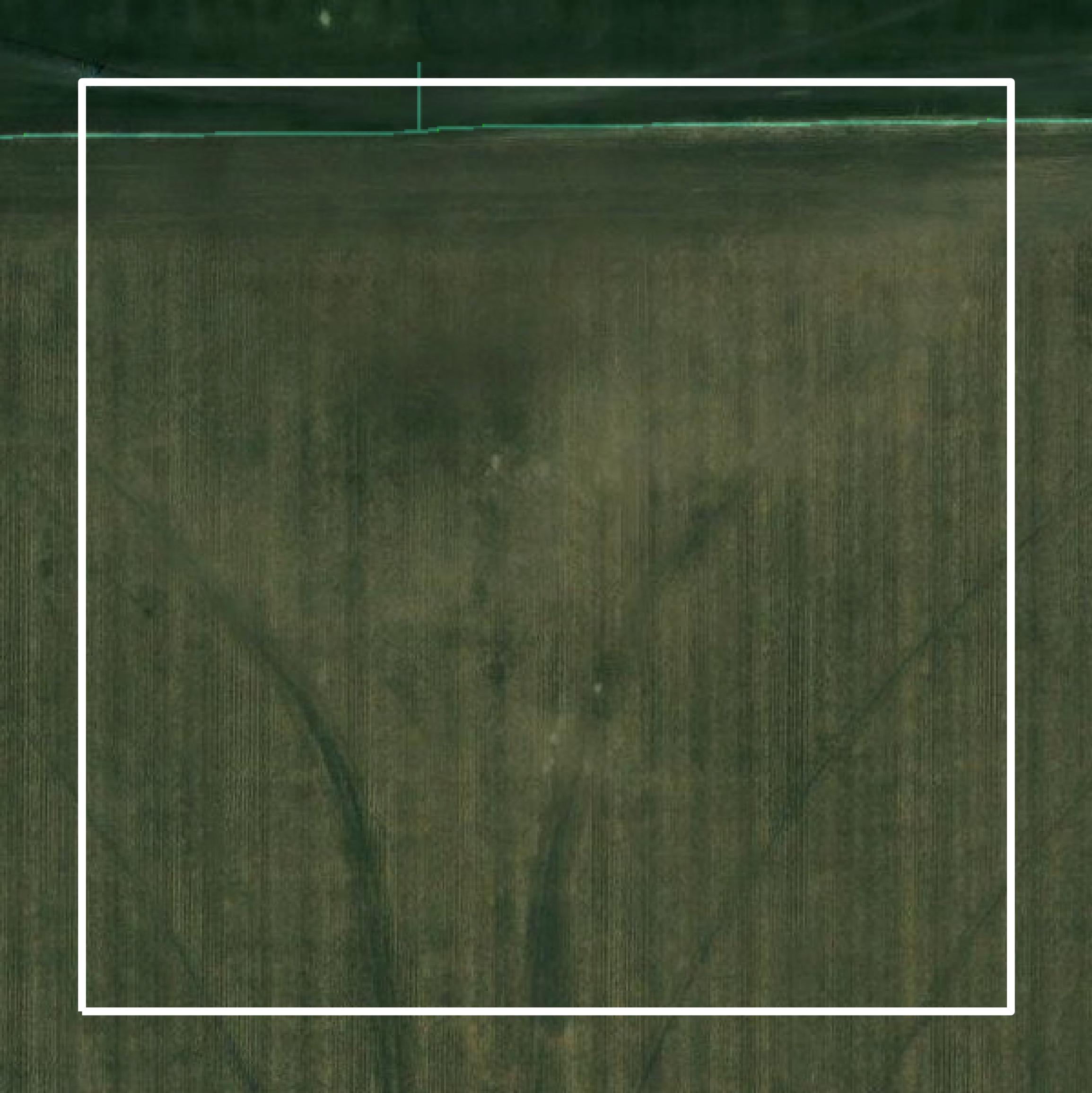 This image shows parcel and building data in Phelps County created using GIS data in Equator.