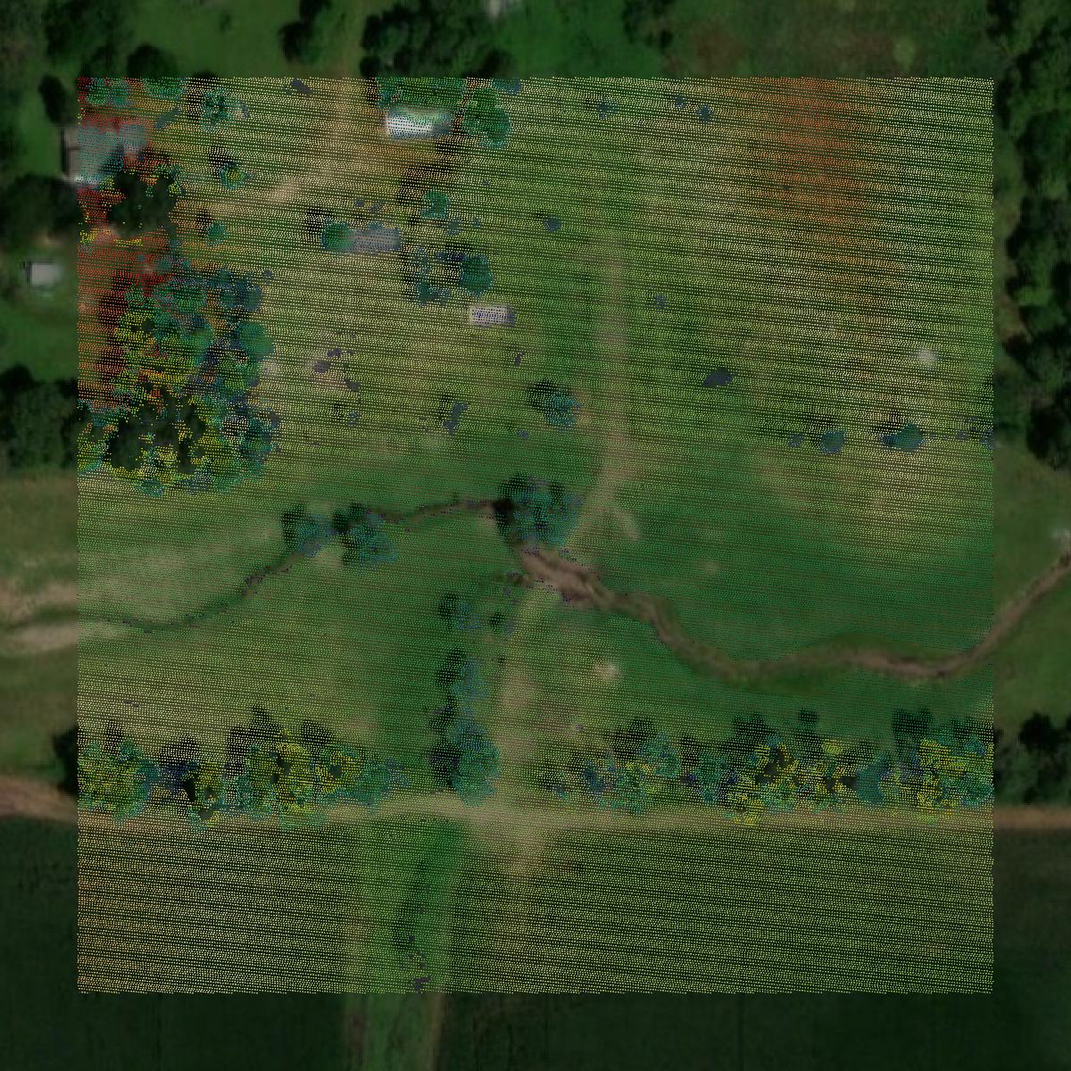 This image shows a LiDAR point cloud in Pierce County created using GIS data in Equator.