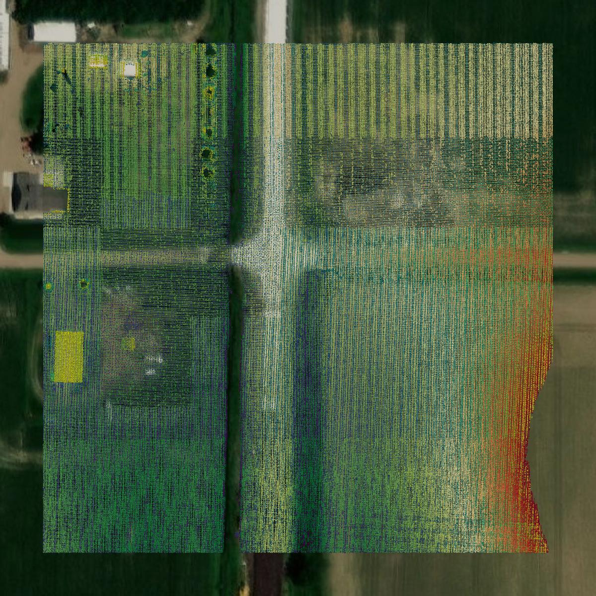 This image shows a LiDAR point cloud in Platte County created using GIS data in Equator.