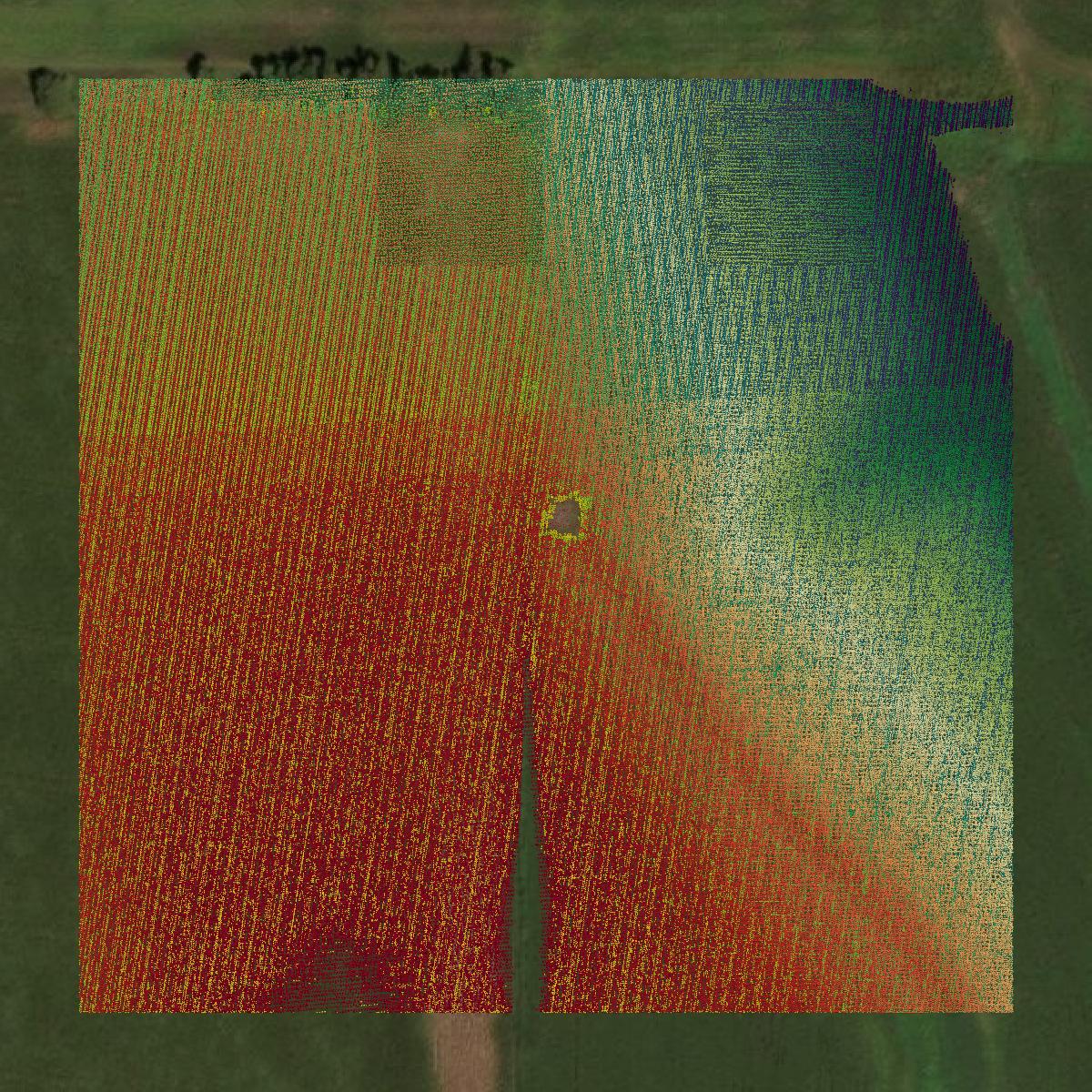This image shows a LiDAR point cloud in Polk County created using GIS data in Equator.
