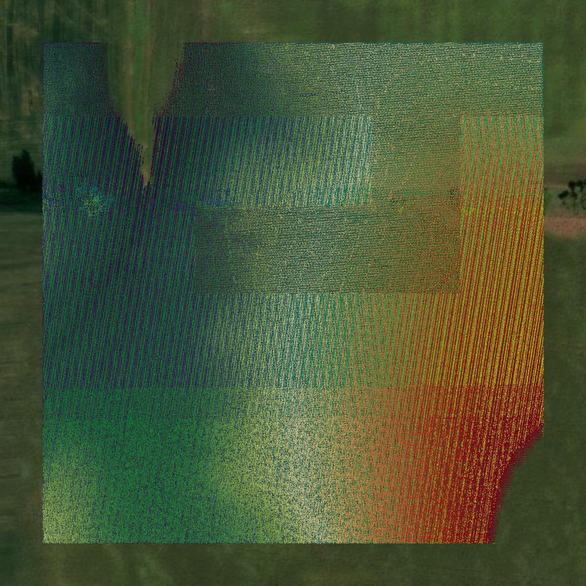 This image shows a LiDAR point cloud in Polk County created using GIS data in Equator.