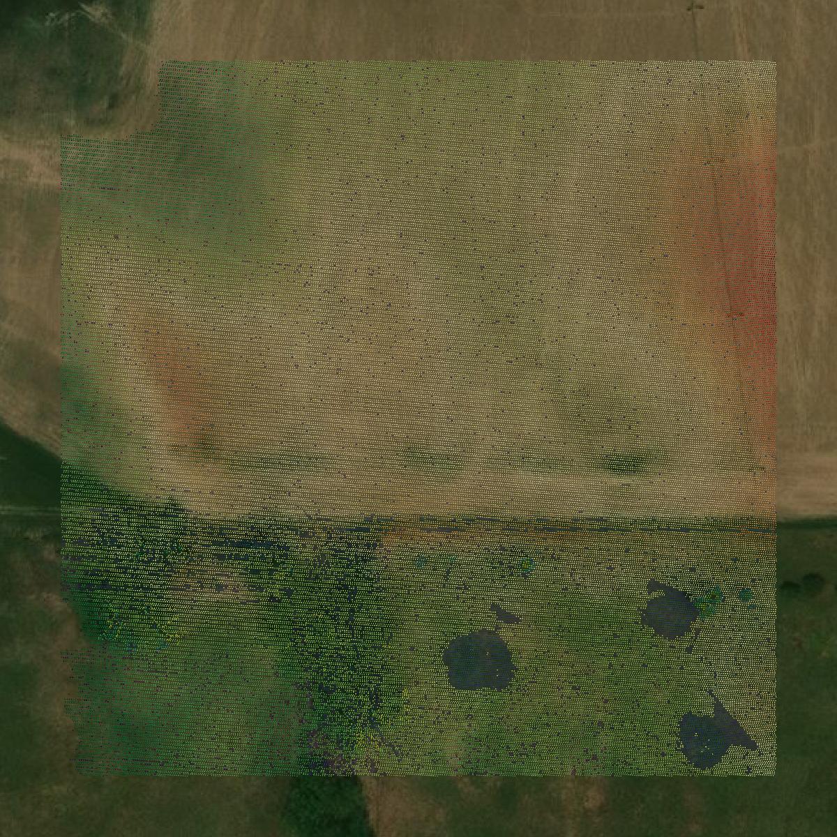 This image shows a LiDAR point cloud in Rock County created using GIS data in Equator.