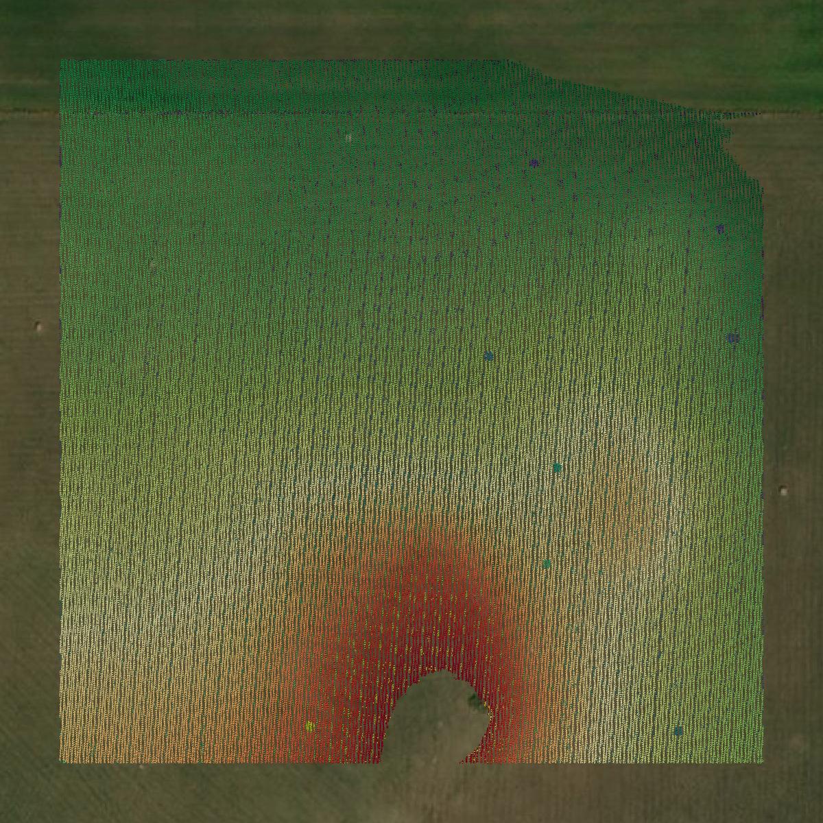 This image shows a LiDAR point cloud in Rock County created using GIS data in Equator.