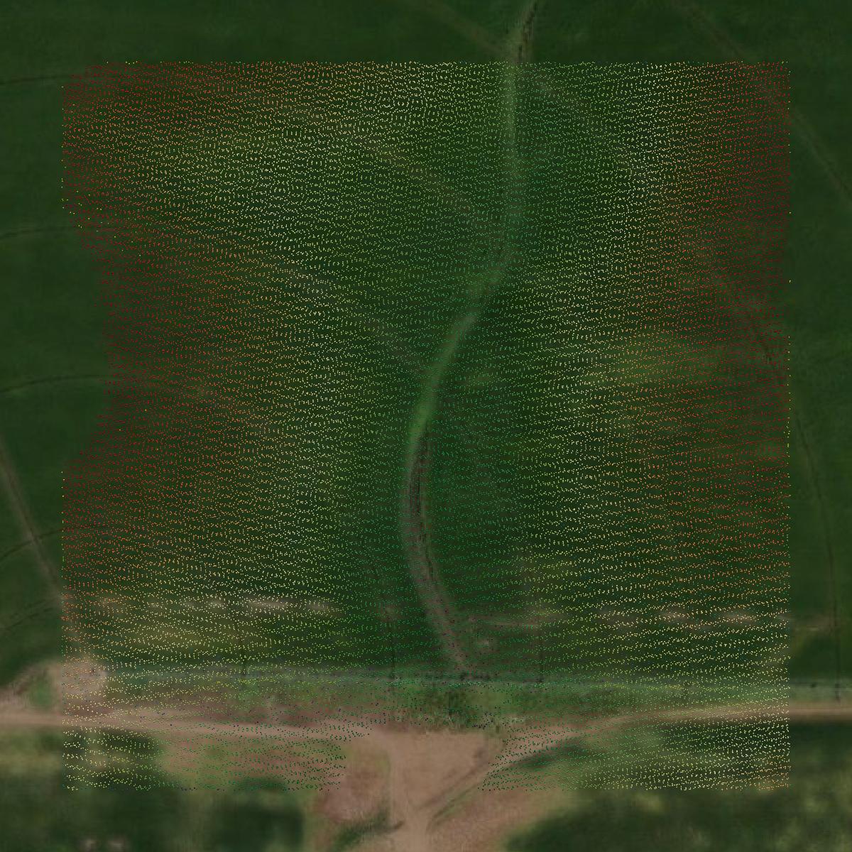 This image shows a LiDAR point cloud in Saline County created using GIS data in Equator.