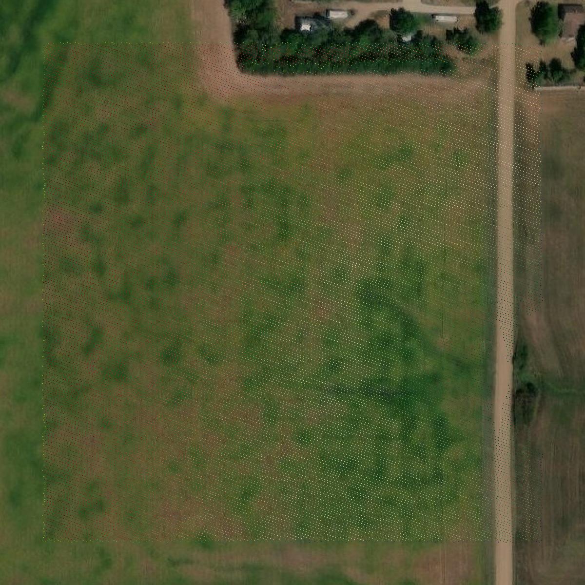 This image shows a LiDAR point cloud in Saline County created using GIS data in Equator.