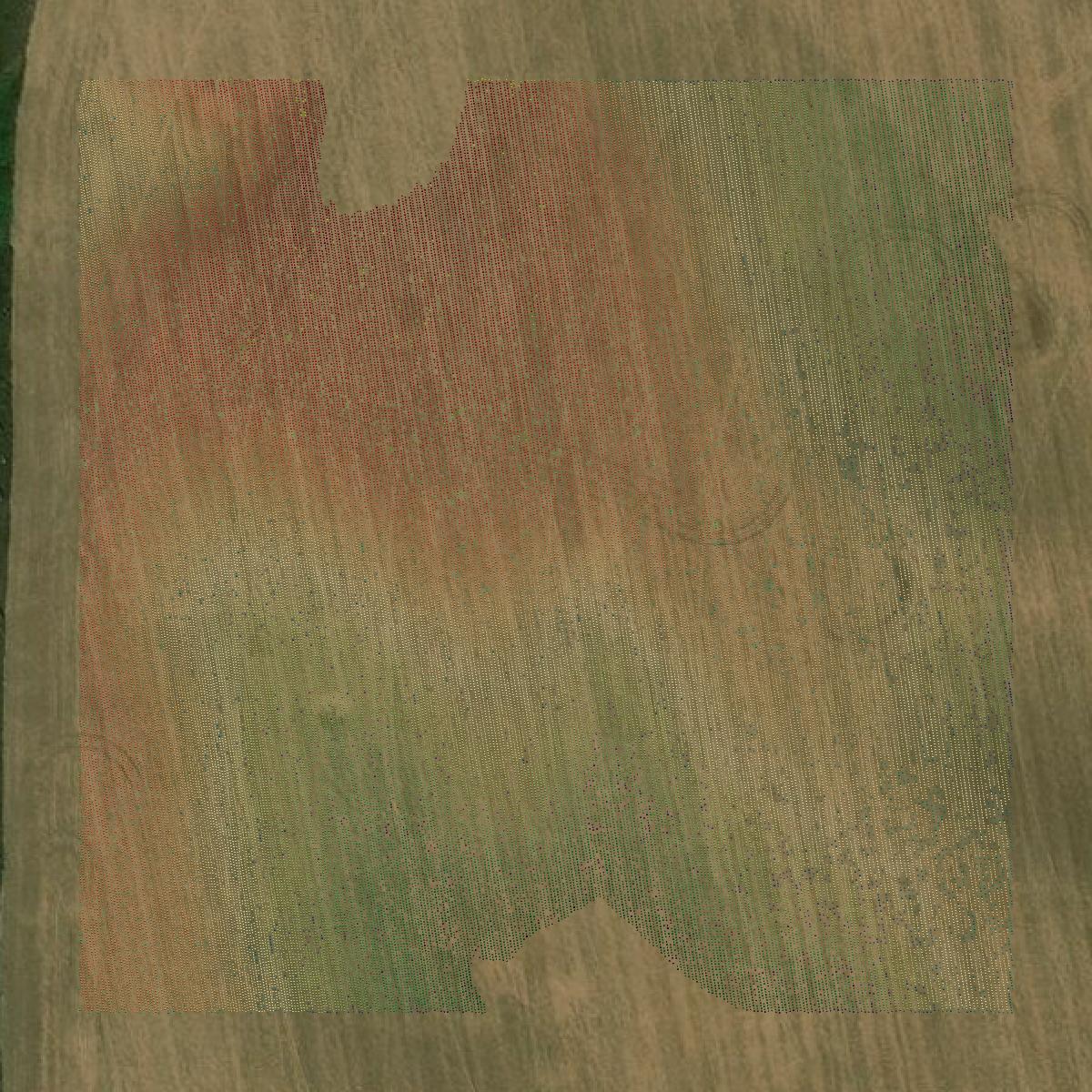 This image shows a LiDAR point cloud in Sherman County created using GIS data in Equator.