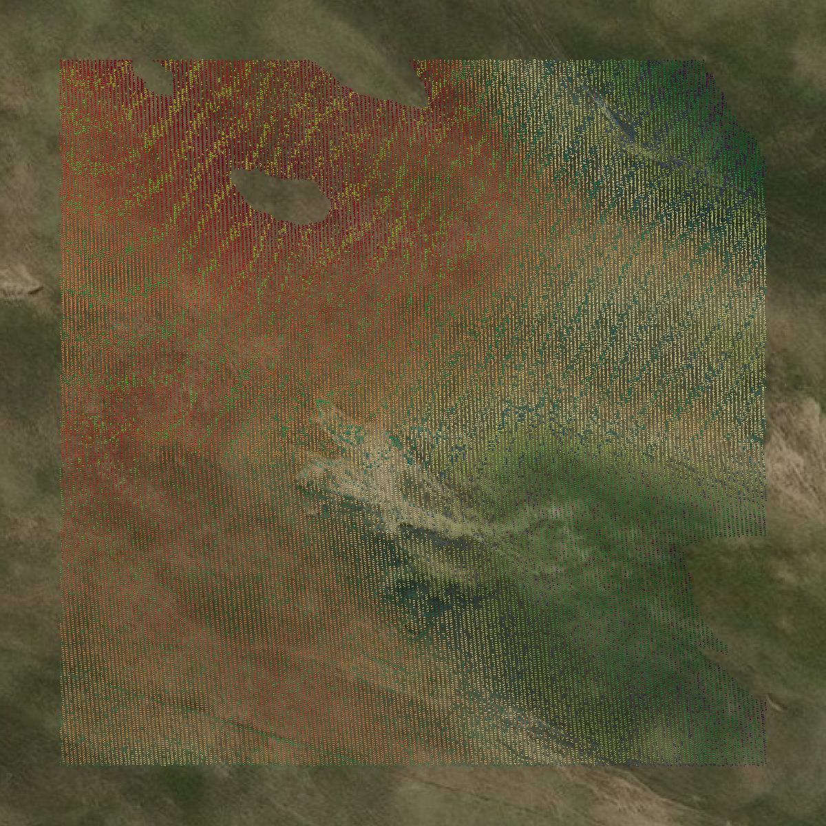 This image shows a LiDAR point cloud in Thomas County created using GIS data in Equator.