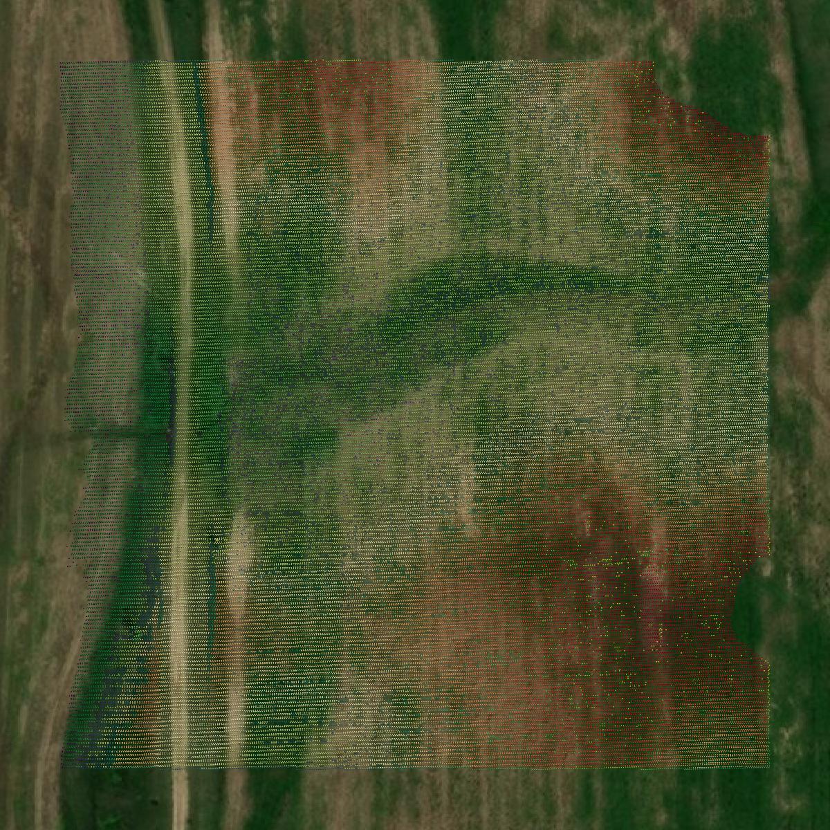This image shows a LiDAR point cloud in Valley County created using GIS data in Equator.