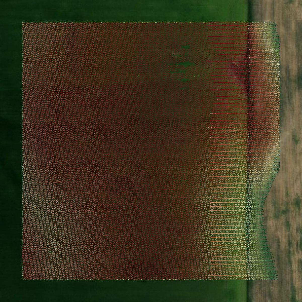 This image shows a LiDAR point cloud in Webster County created using GIS data in Equator.