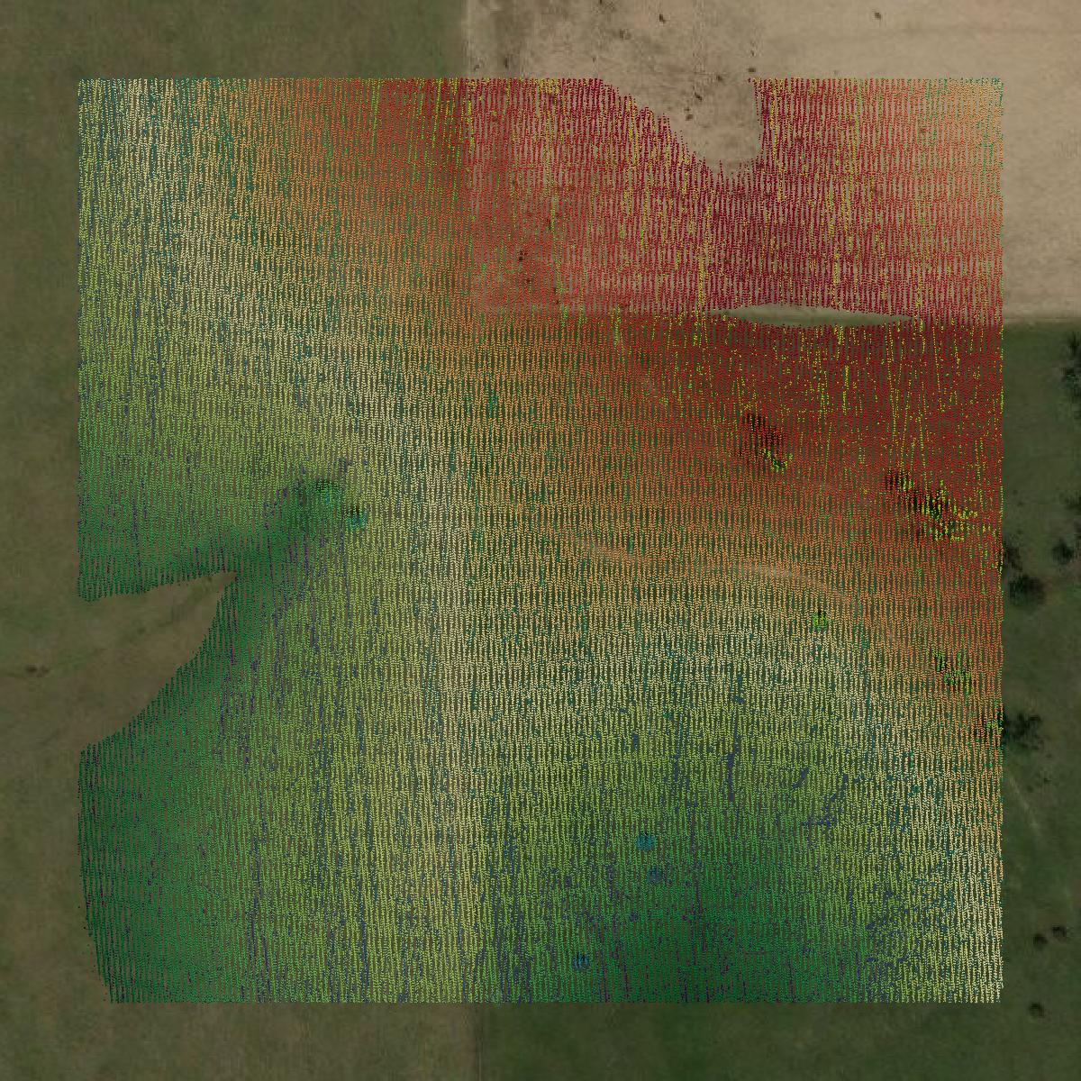 This image shows a LiDAR point cloud in Webster County created using GIS data in Equator.
