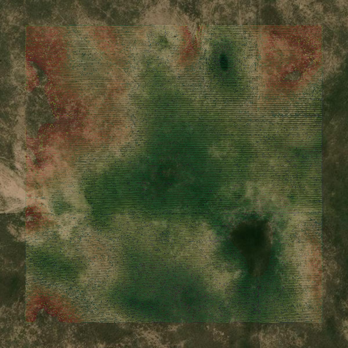 This image shows a LiDAR point cloud in Wheeler County created using GIS data in Equator.