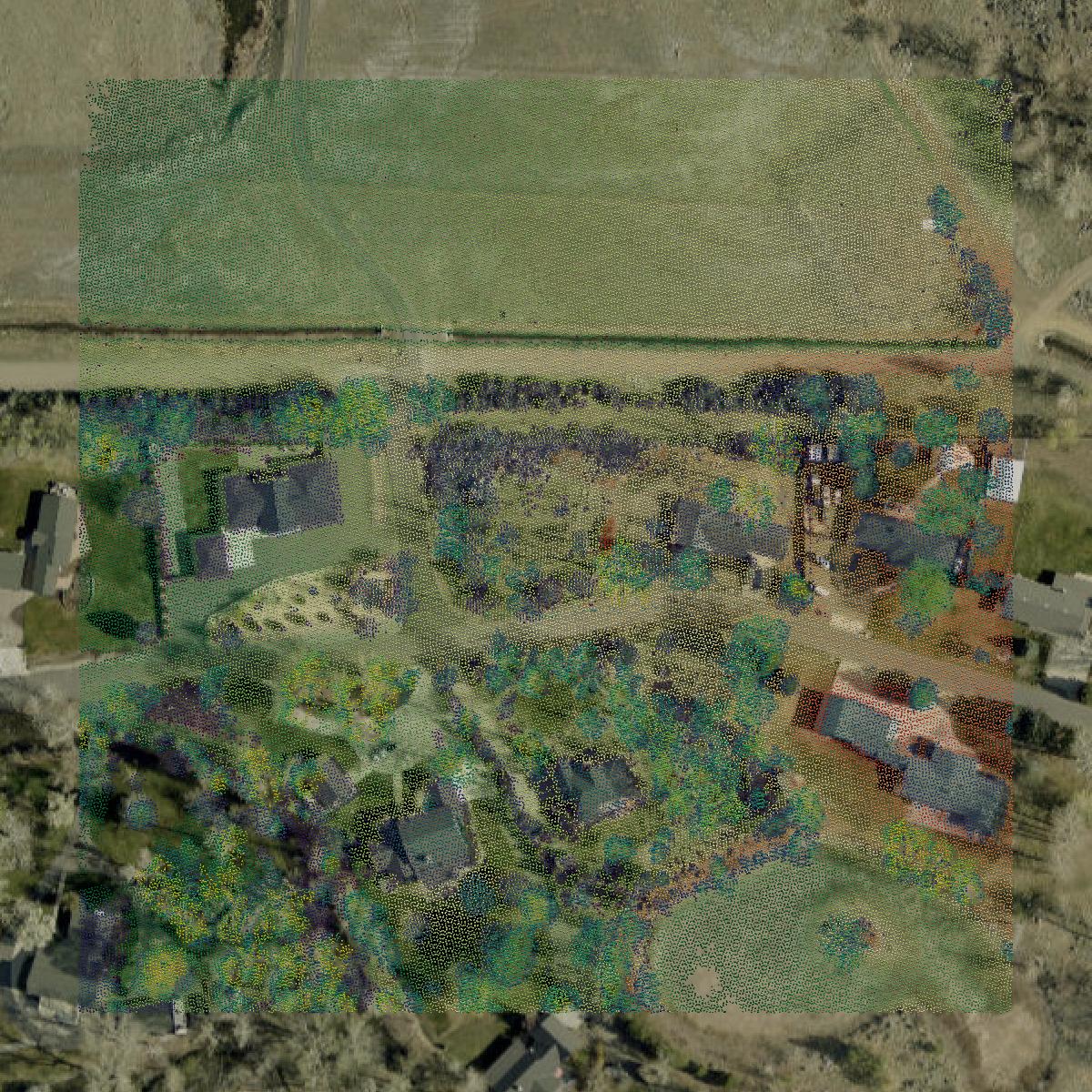 This image shows a LiDAR point cloud in Douglas County created using GIS data in Equator.