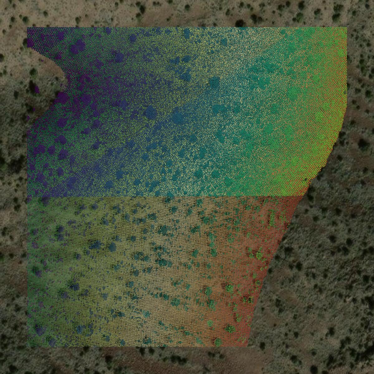 This image shows a LiDAR point cloud in Lyon County created using GIS data in Equator.