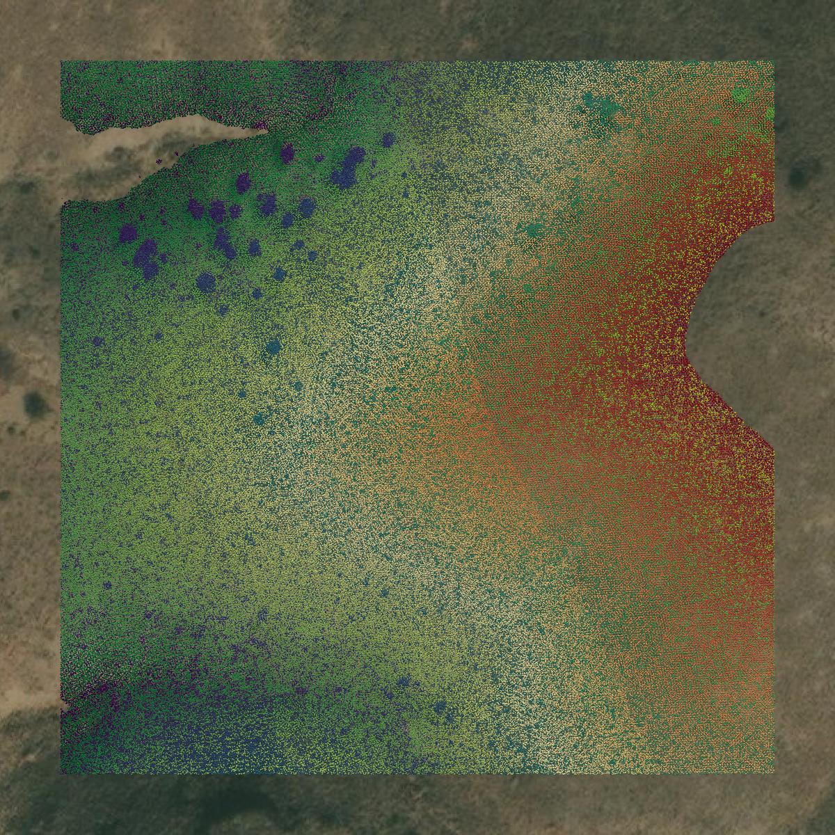 This image shows a LiDAR point cloud in Mineral County created using GIS data in Equator.