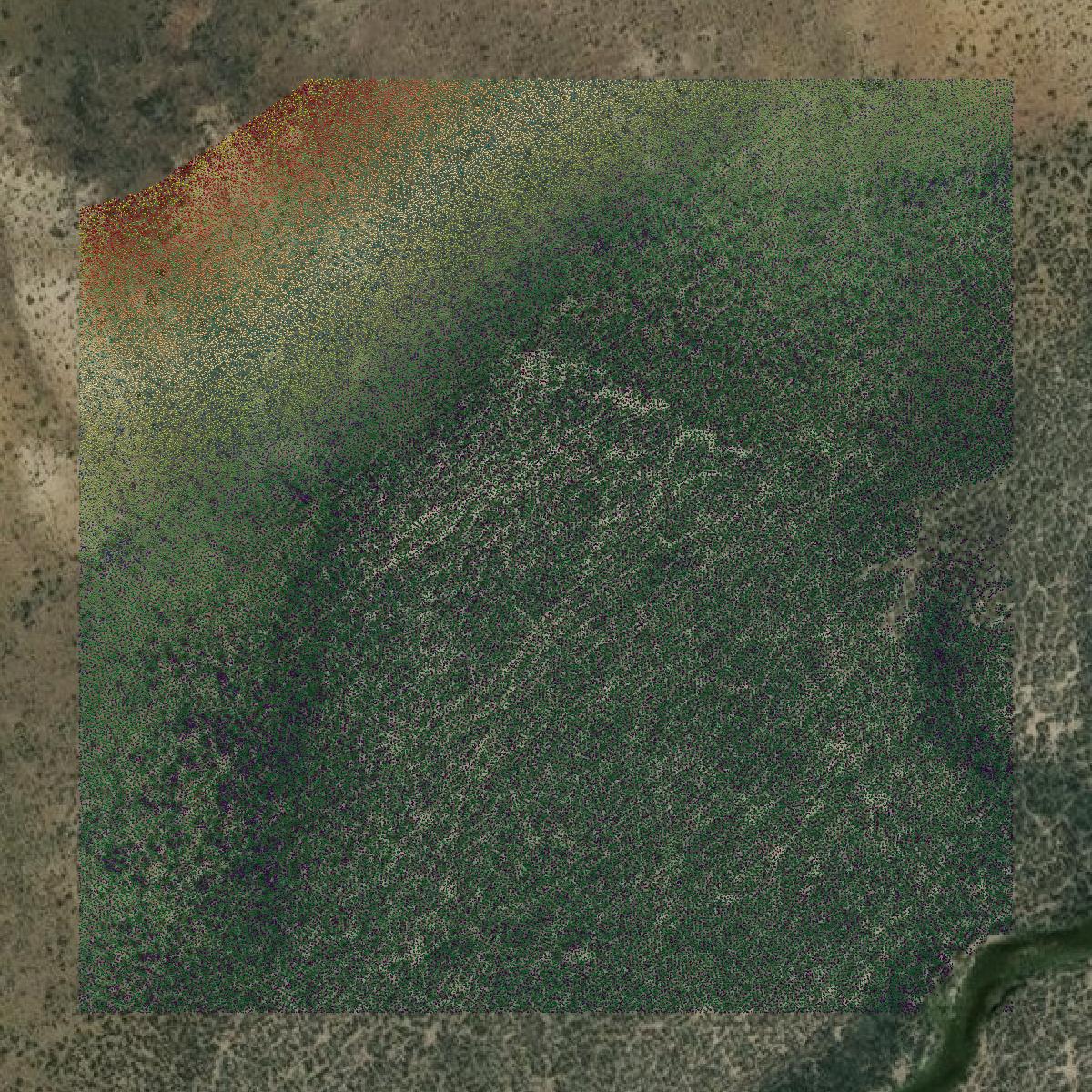 This image shows a LiDAR point cloud in Washoe County created using GIS data in Equator.