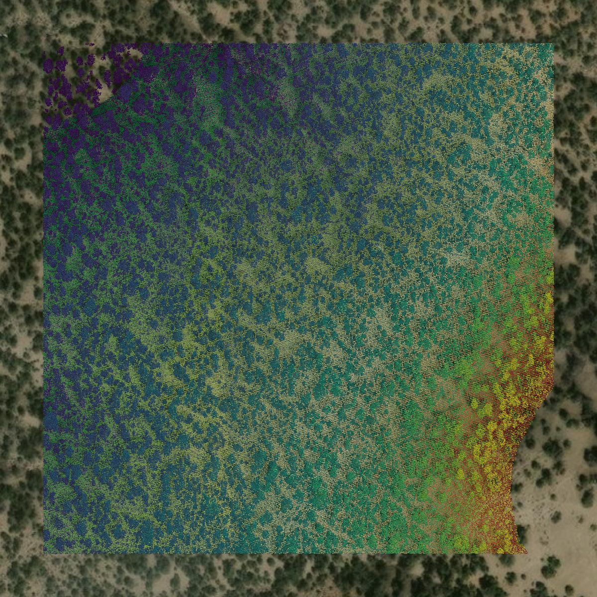 This image shows a LiDAR point cloud in White Pine County created using GIS data in Equator.