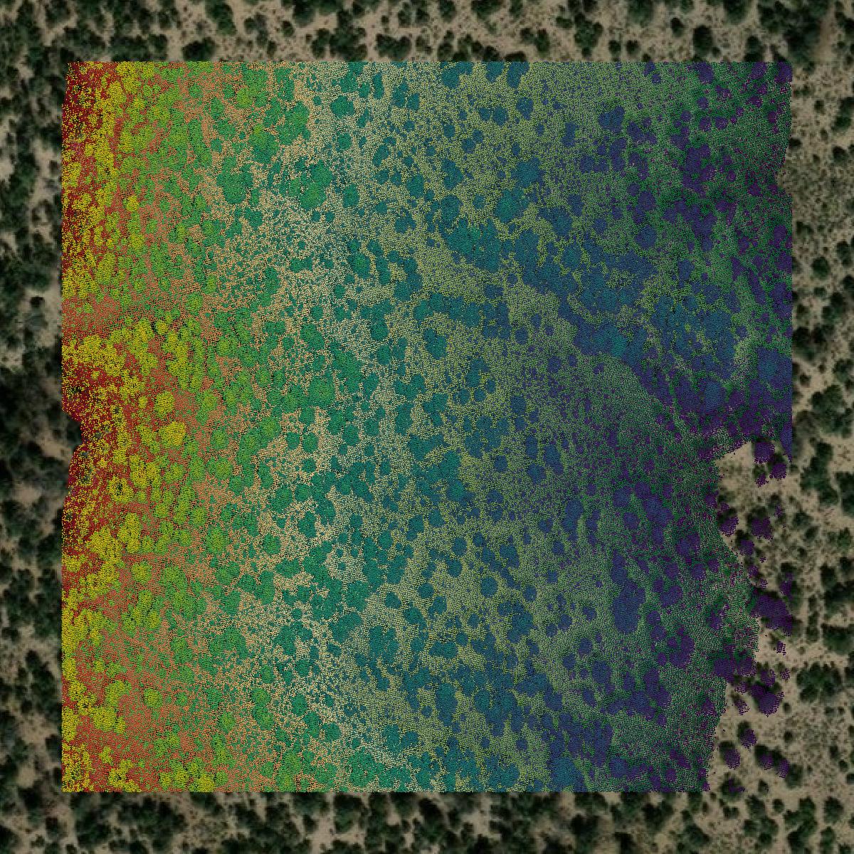 This image shows a LiDAR point cloud in White Pine County created using GIS data in Equator.