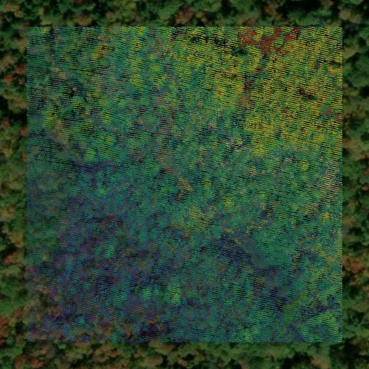 This image shows a LiDAR point cloud in Belknap County created using GIS data in Equator.