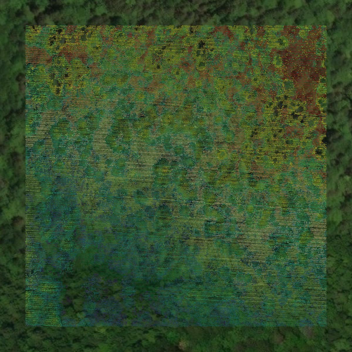 This image shows a LiDAR point cloud in Carroll County created using GIS data in Equator.