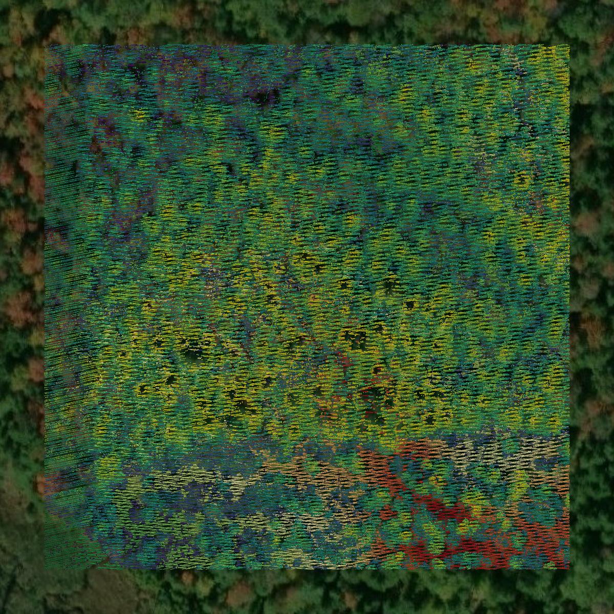 This image shows a LiDAR point cloud in Carroll County created using GIS data in Equator.
