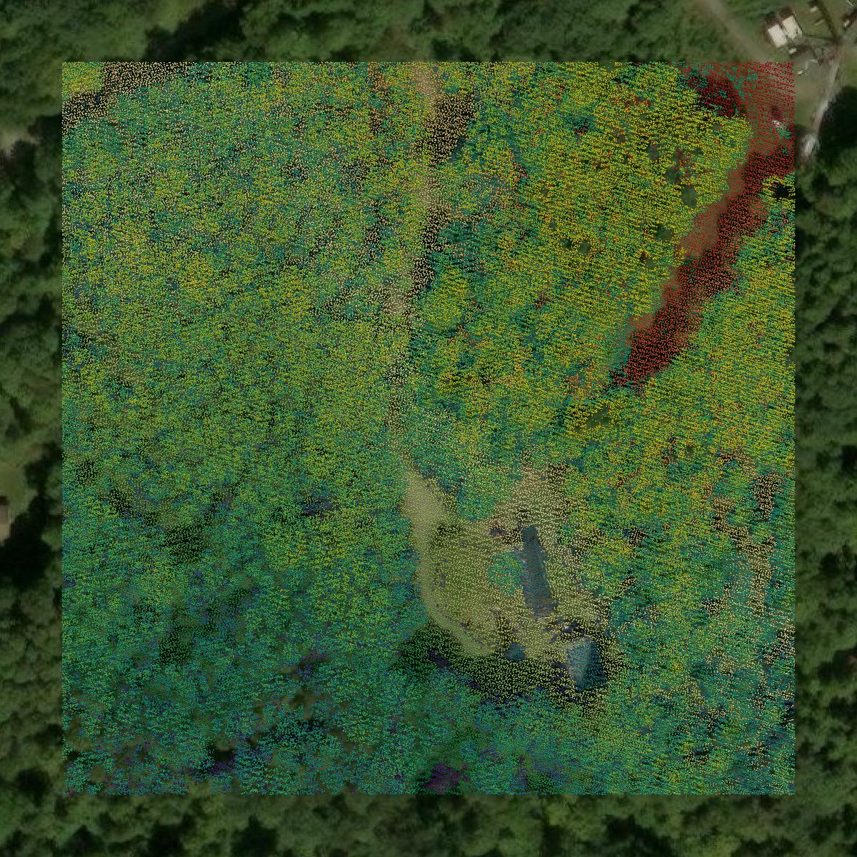 This image shows a LiDAR point cloud in Cheshire County created using GIS data in Equator.