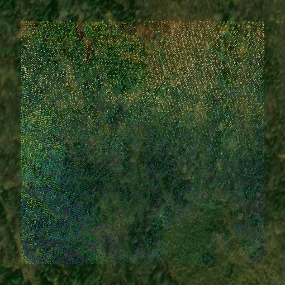 This image shows a LiDAR point cloud in Coos County created using GIS data in Equator.