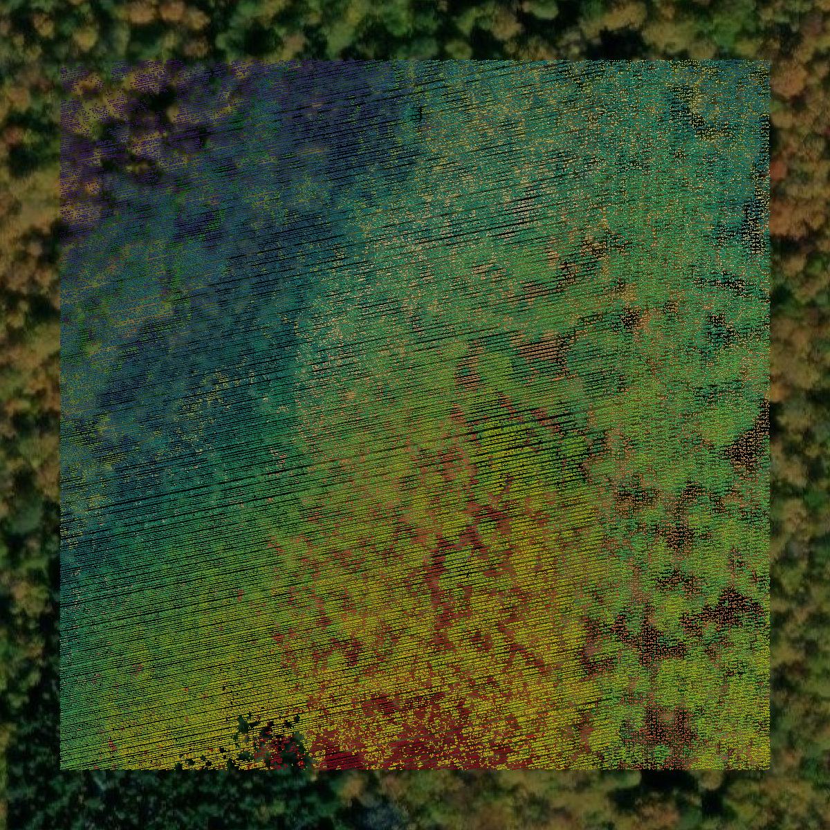 This image shows a LiDAR point cloud in Coos County created using GIS data in Equator.