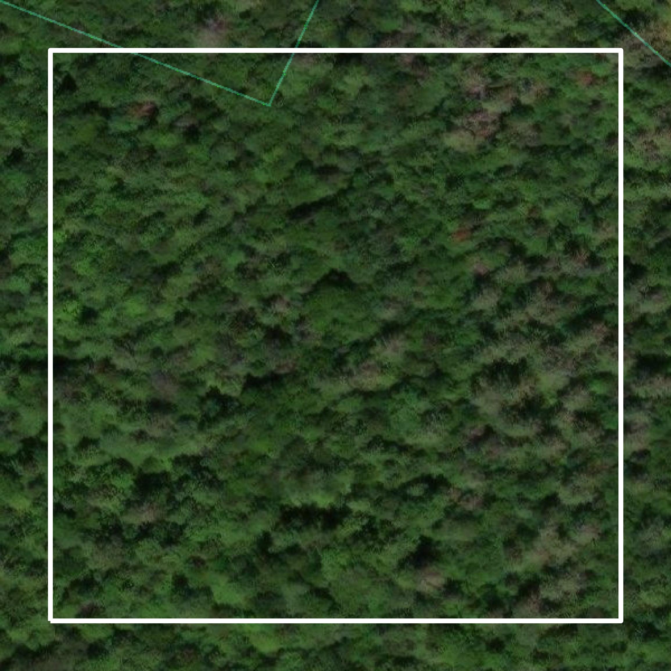 This image shows parcel and building data in Grafton County created using GIS data in Equator.