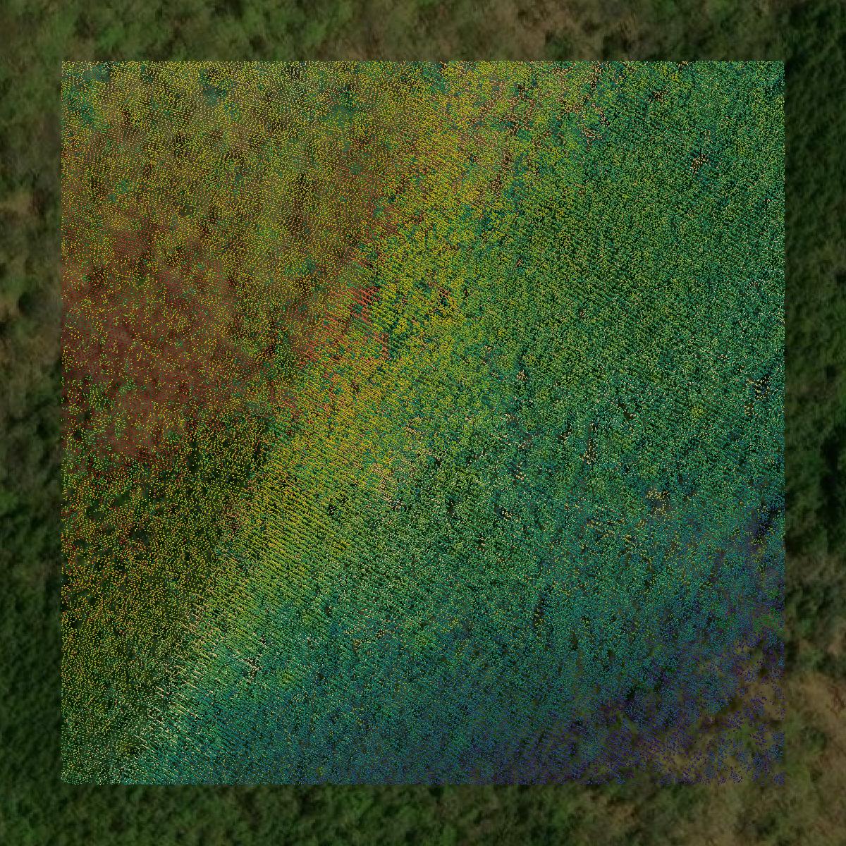 This image shows a LiDAR point cloud in Grafton County created using GIS data in Equator.