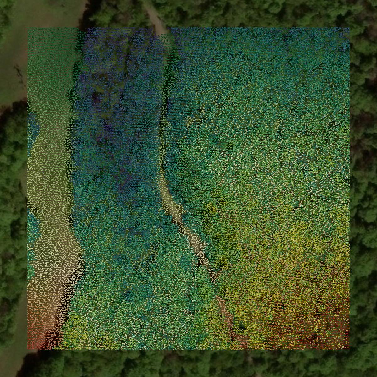 This image shows a LiDAR point cloud in Merrimack County created using GIS data in Equator.