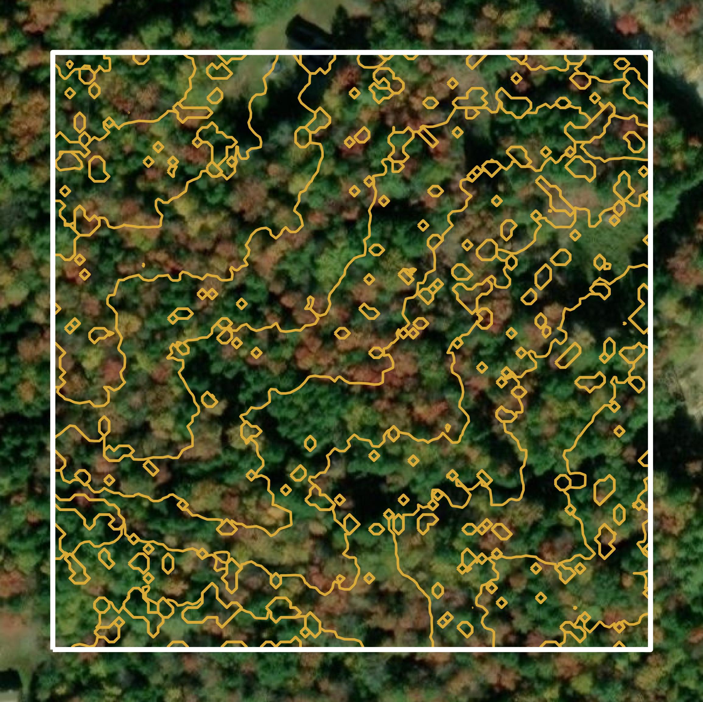 This image shows a contour map in Strafford County created using GIS data in Equator.