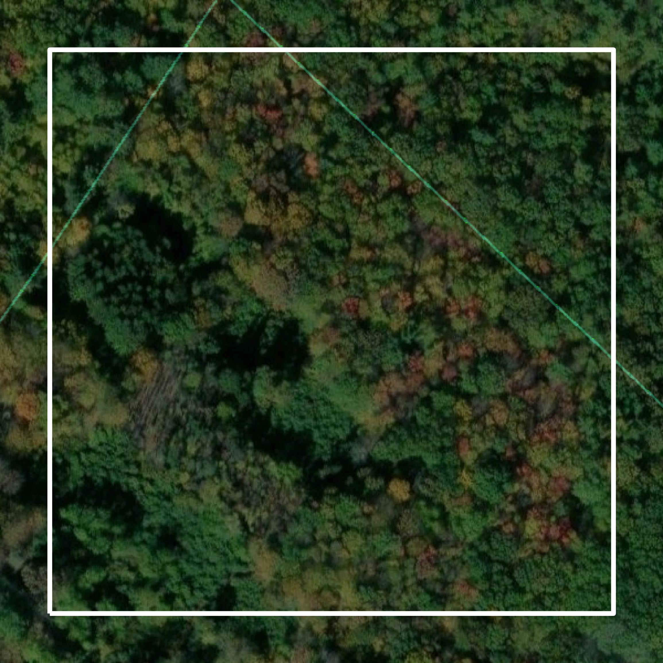 This image shows parcel and building data in Strafford County created using GIS data in Equator.