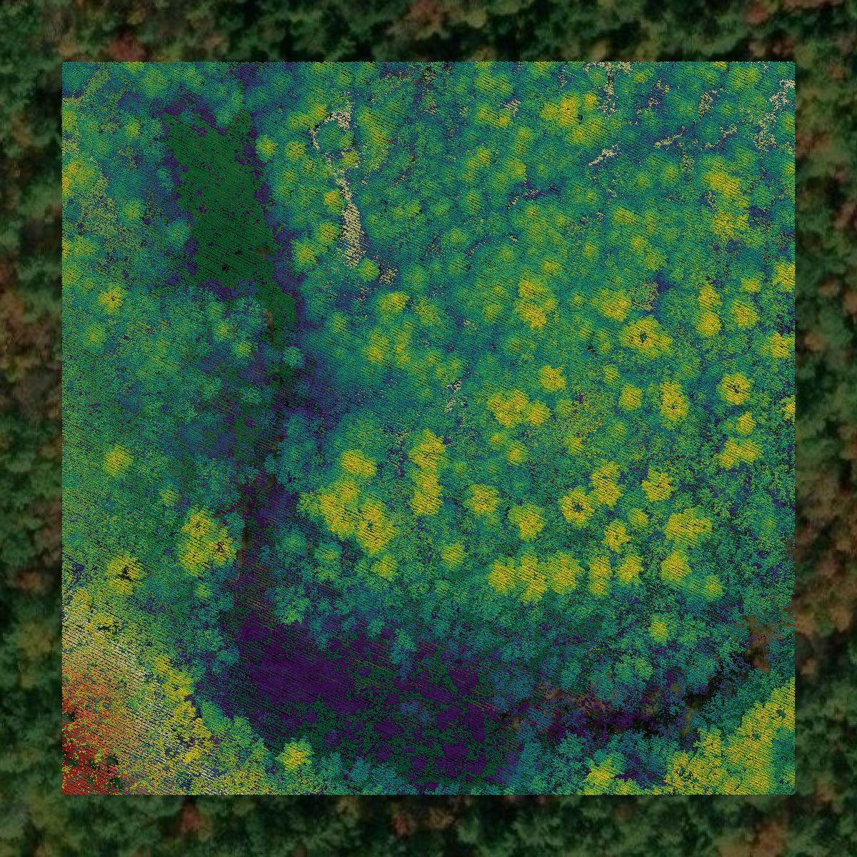 This image shows a LiDAR point cloud in Strafford County created using GIS data in Equator.